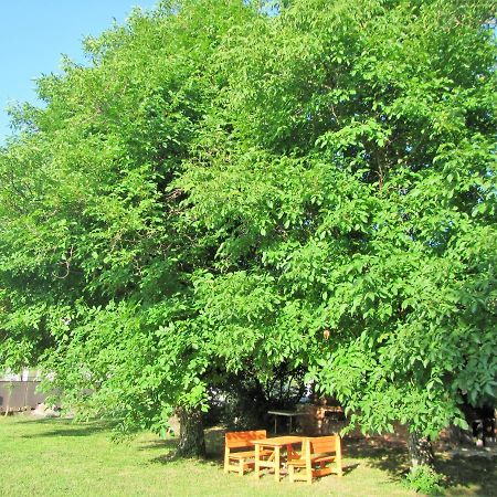 Bed and Breakfast Pod Orehi Постойна Екстер'єр фото