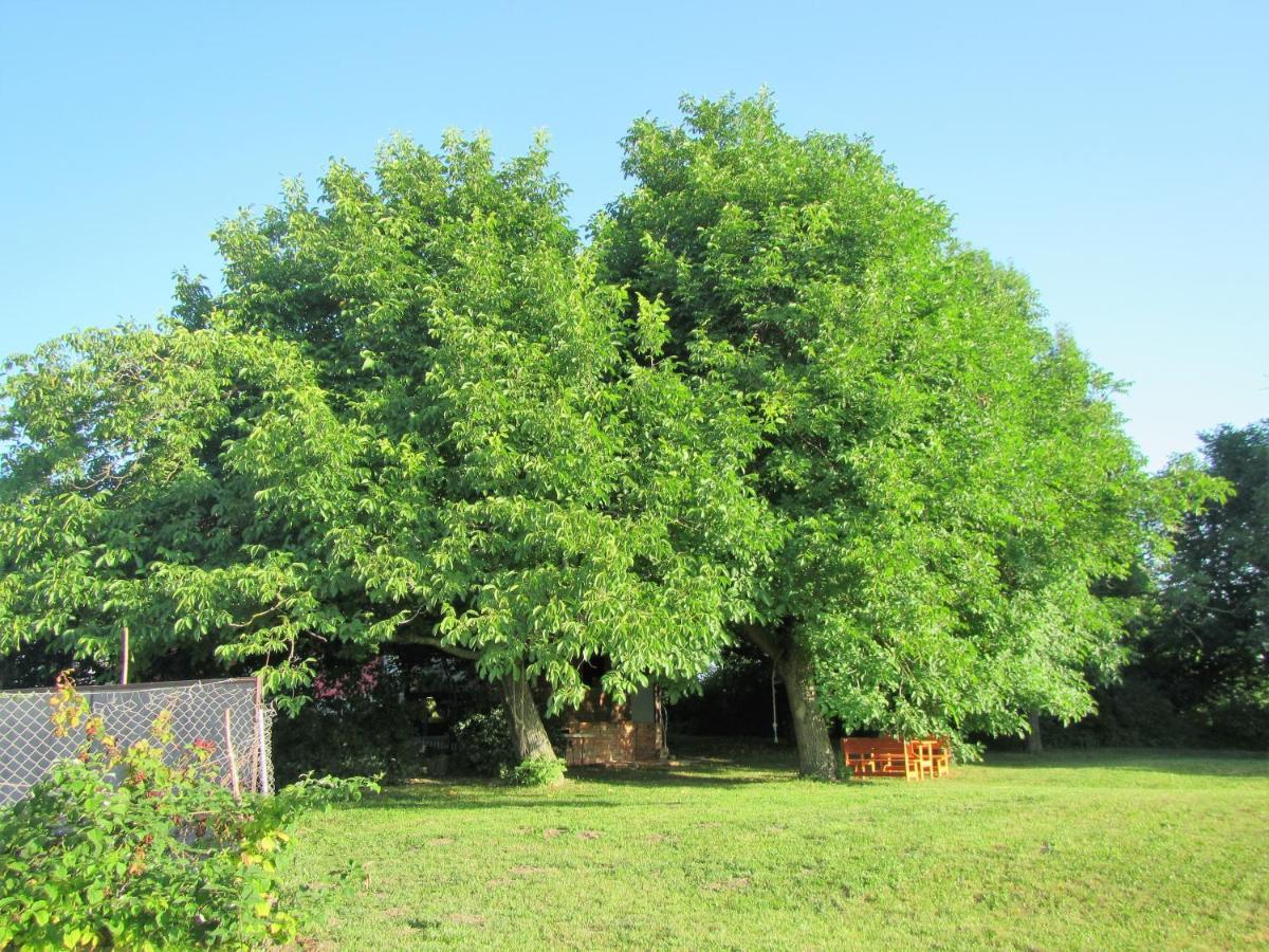 Bed and Breakfast Pod Orehi Постойна Екстер'єр фото