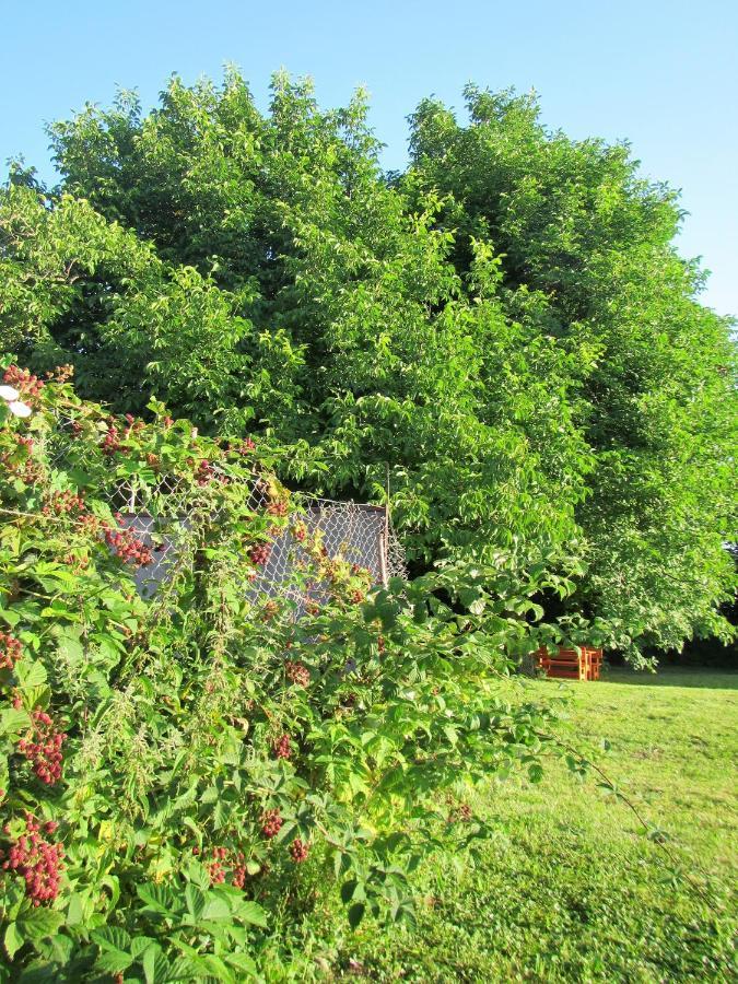 Bed and Breakfast Pod Orehi Постойна Екстер'єр фото