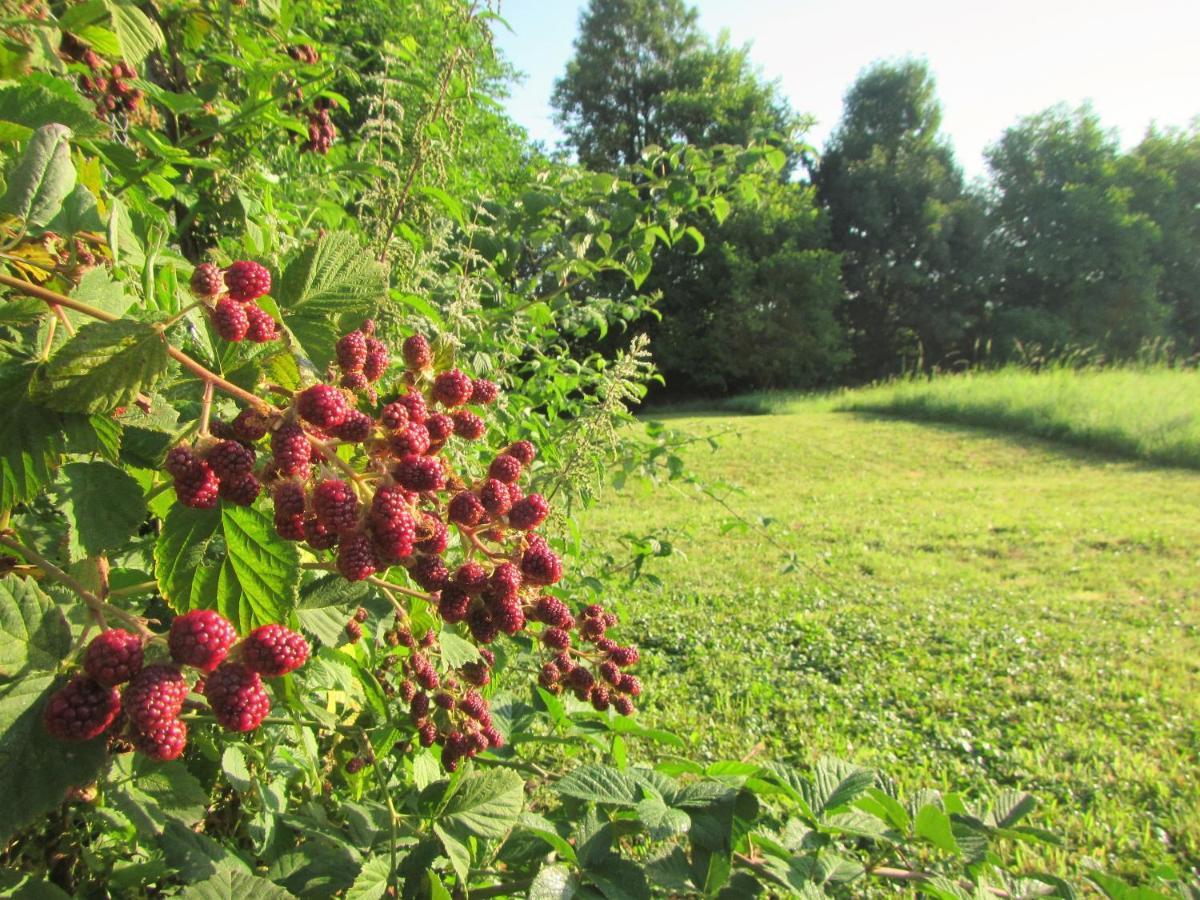 Bed and Breakfast Pod Orehi Постойна Екстер'єр фото