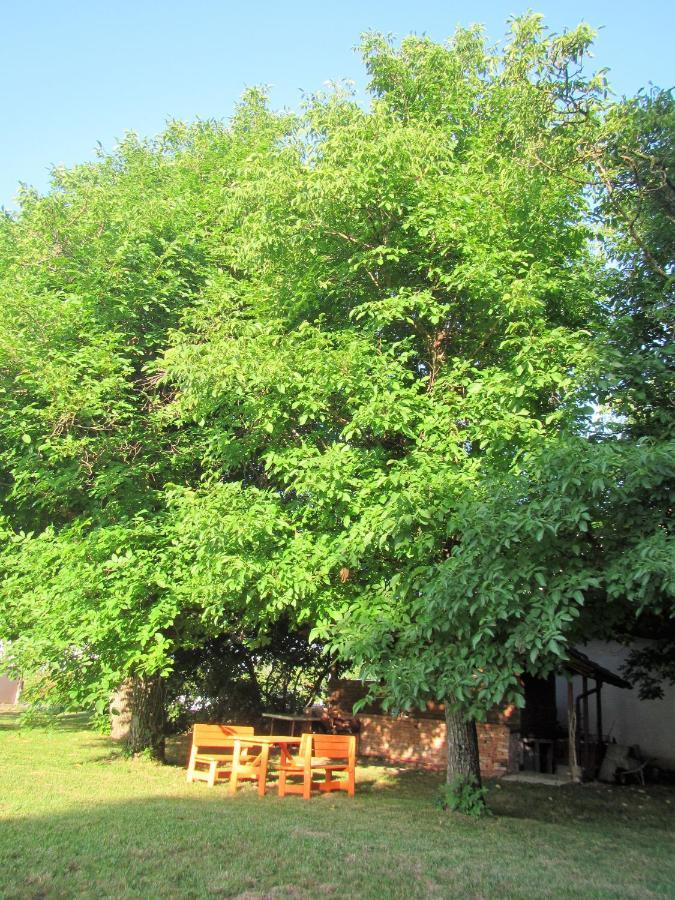 Bed and Breakfast Pod Orehi Постойна Екстер'єр фото