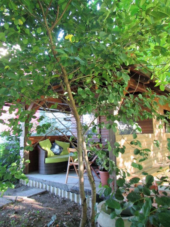 Bed and Breakfast Pod Orehi Постойна Екстер'єр фото