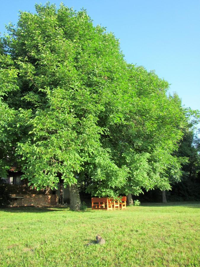 Bed and Breakfast Pod Orehi Постойна Екстер'єр фото